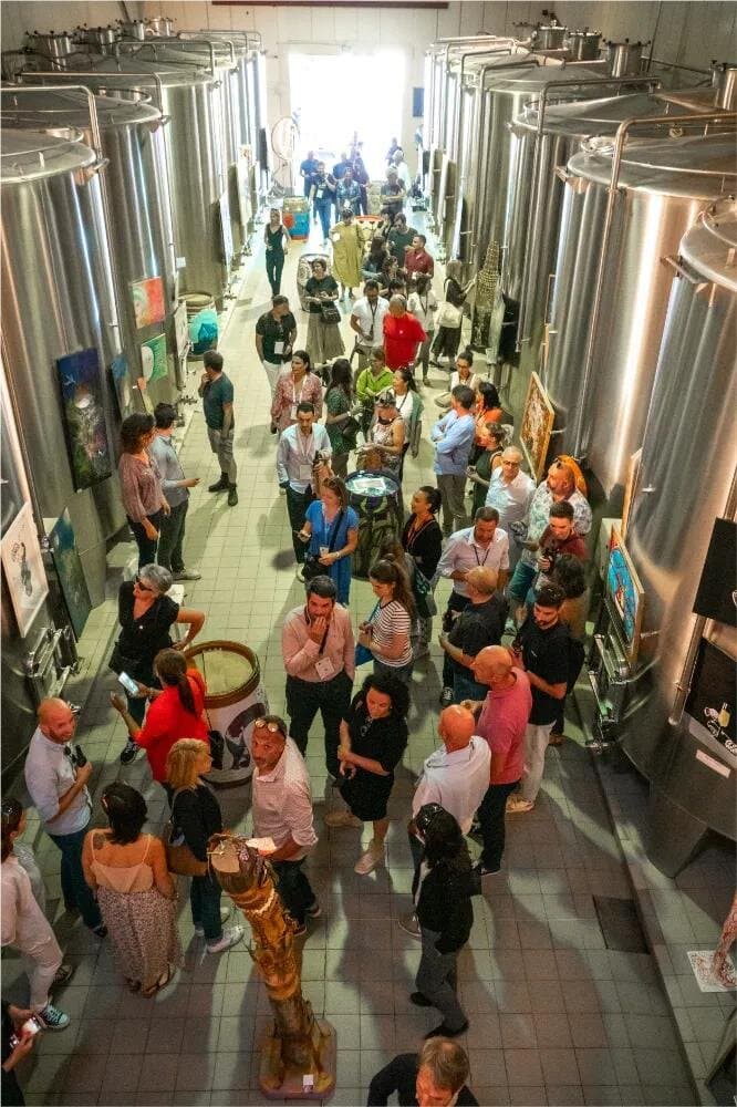 Corporate & Group Charter - Luxury private jet service